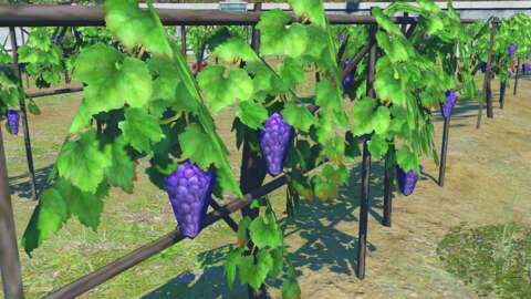 Final Fantasy XIV: Endwalker's Low-Poly Grapes Now Available as Physical Merchandise